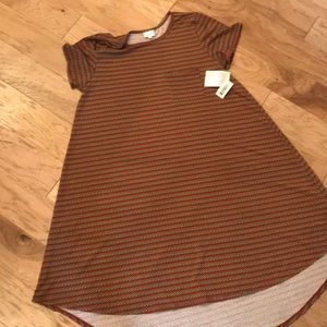 2XL Multi Colored LuLaRoe Carly Dress